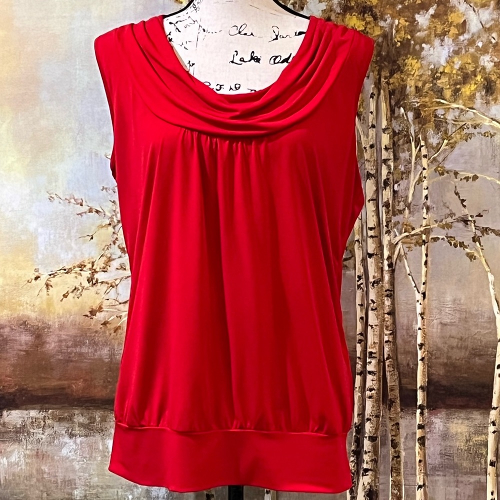 EUC WORTHINGTON Comfy Top has Wide Lower Band & Pretty Neckline